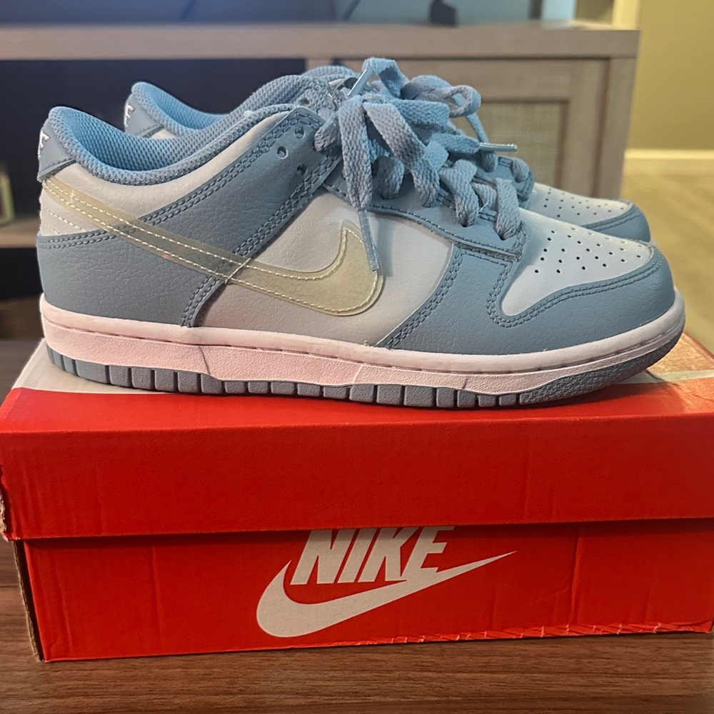 Nike Dunk low Sneakers